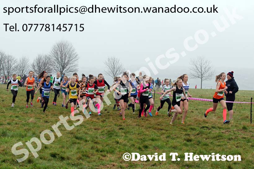 Under-13  girls NEHL, Aykley Heads, Durham. Photo: David T. Hewitson/Sports for All Pics